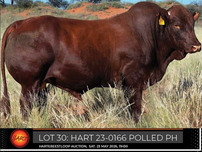 HART230166Pp(c) | HARTEBEESTLOOP BONSMARA
