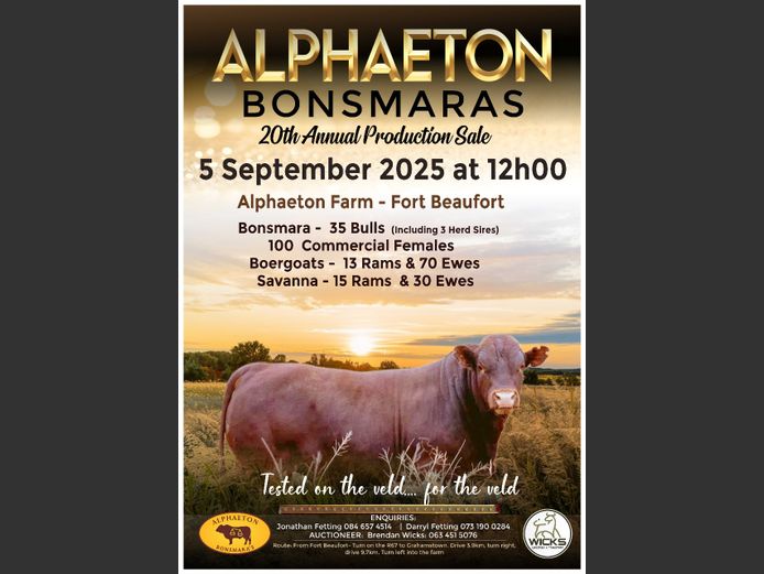 ALPHAETON BONSMARAS 20TH ANNUAL PRODUCTION SALE