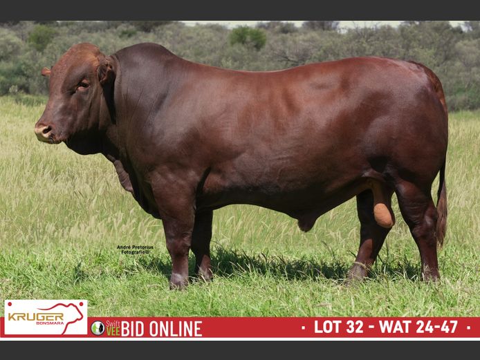 WAT 240047 | KRUGER BOERDERY
