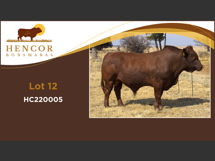 HC  220005 | HENCOR BOERDERY