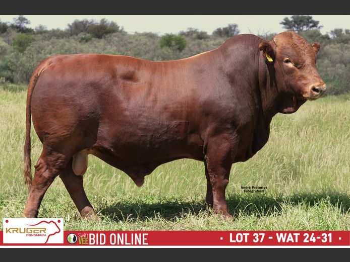WAT 240031 | KRUGER BOERDERY