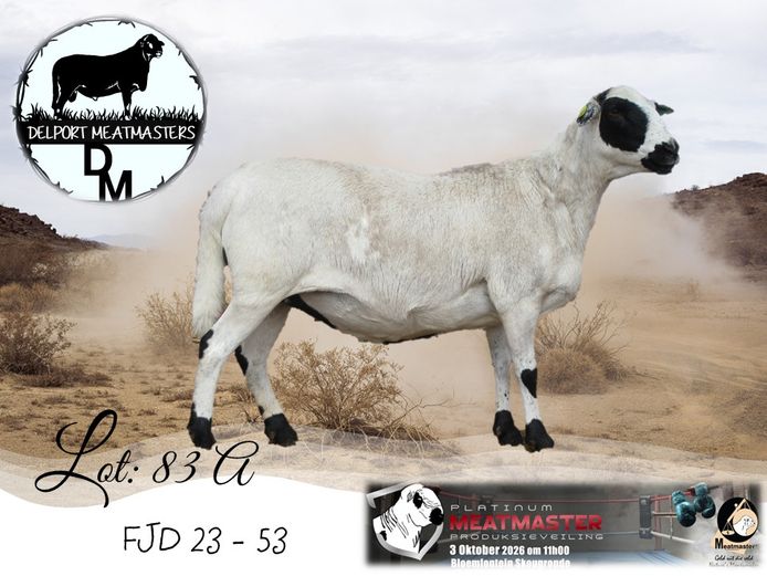 FJD 23-053 | Delport Boerdery