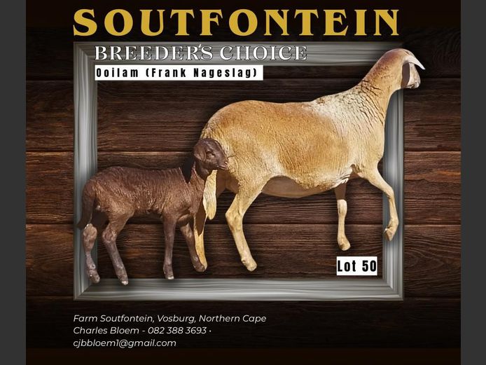 CB 240078 | SOUTFONTEIN MEATMASTERS