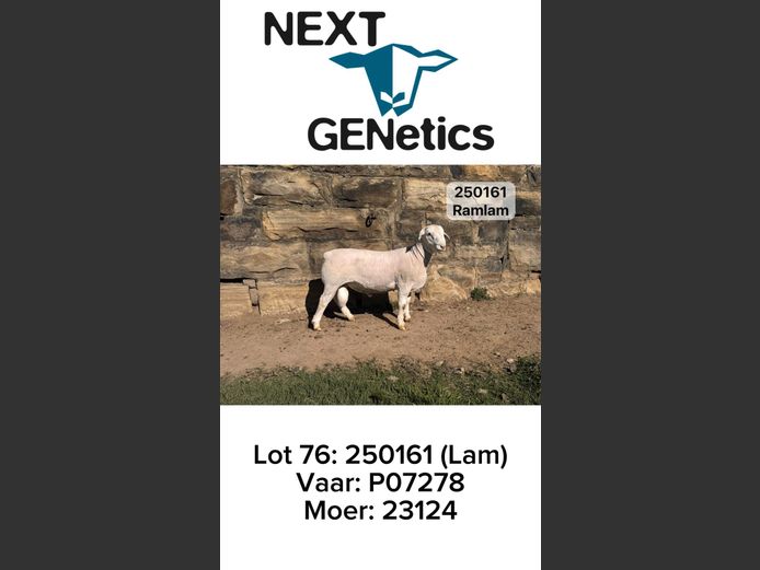 250161 | NEXT GENETICS
