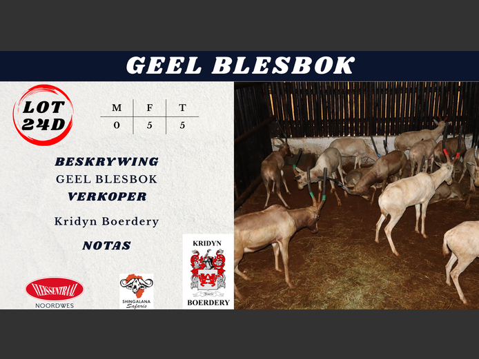 GEEL BLESBOK