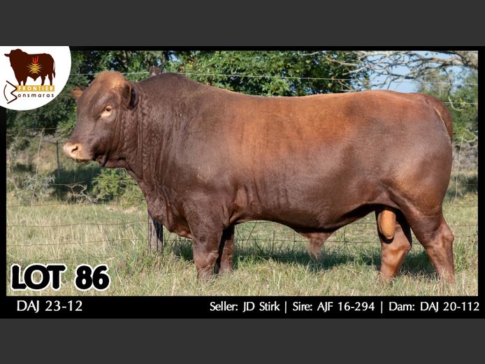 DAJ 230012 | J.D. STIRK