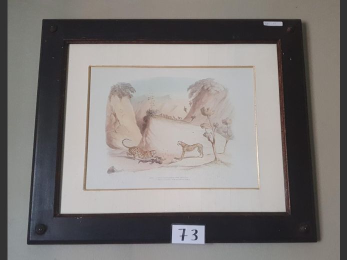FRAMED PRINT "CHEETAHS HUNTING"