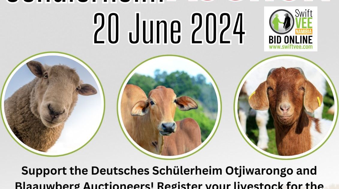 BLAAUWBERG SCHULERHEIM AUCTION SwiftVEE Livestock & Cattle Webcast