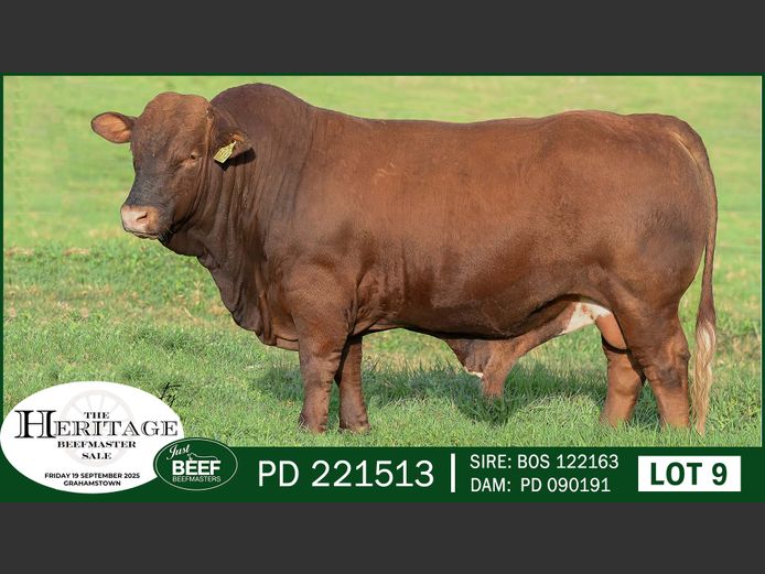PD221513 | SUPER PRO DAIRY