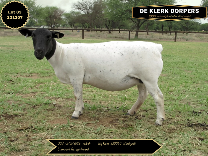 231207 | DE KLERK DORPERS