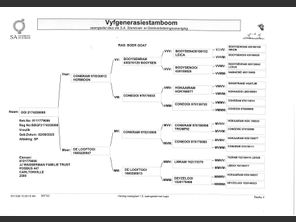 genetic_data