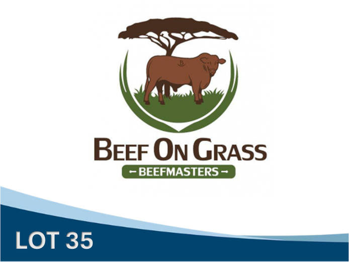 JAN 230010 | BEEF ON GRASS PTY LTD