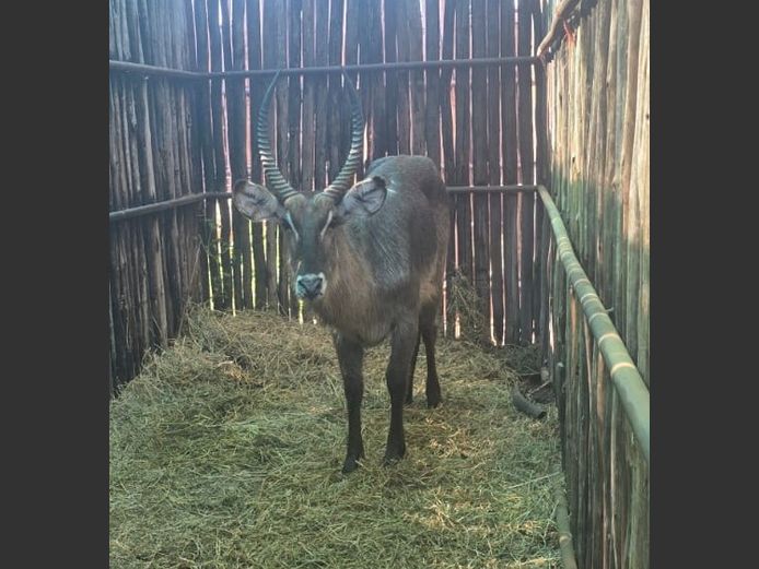 WATERBOK | HANLEY 1