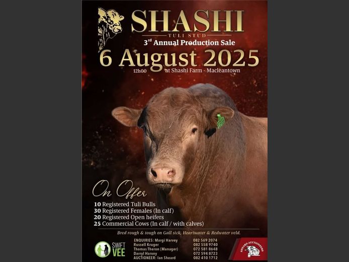 SHASHI TULI STUD 3RD ANNUAL PRODUCTION SALE