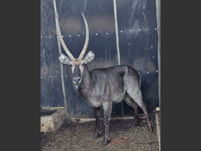 WATERBUCK | UNICO PROJECTS