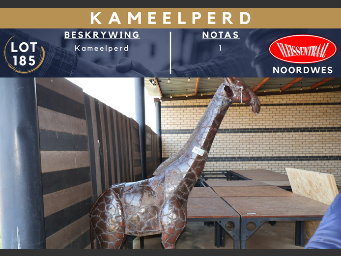 KAMEELPERD