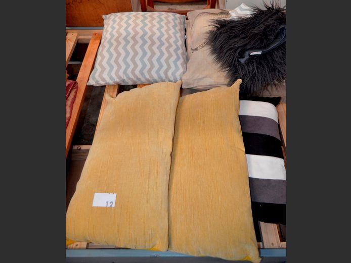 PILLOWS, SCATTER CUSHIONS, CUSHION COVERS, etc