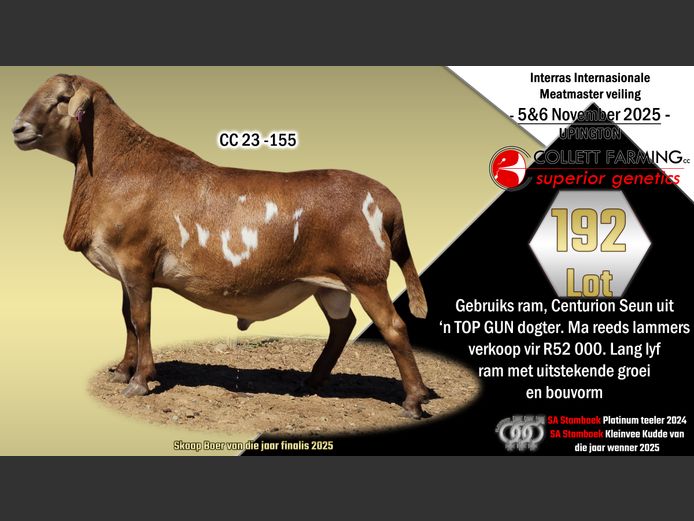 CC23-155 | SUPERIOR GENETICS