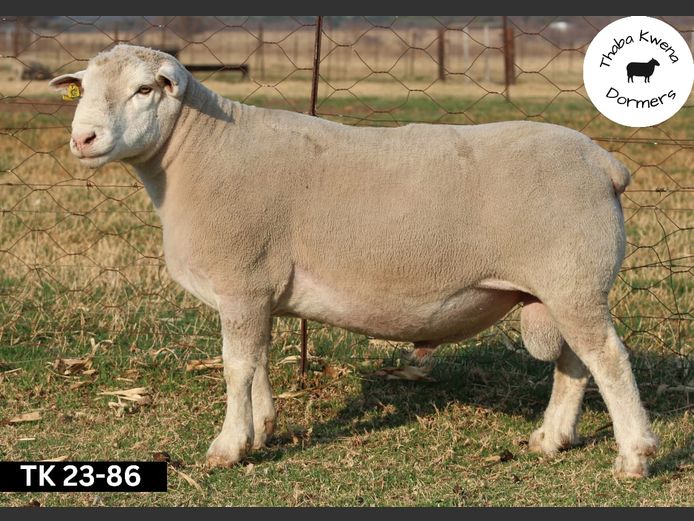 TK 230086 | THABA KWENA DORMERS