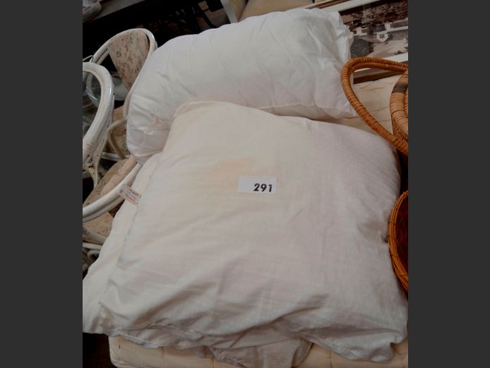 LOT: 2 x SCATTER CUSHIONS & A PILLOW