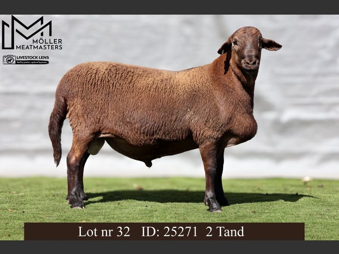 25271 | Moller Meatmasters