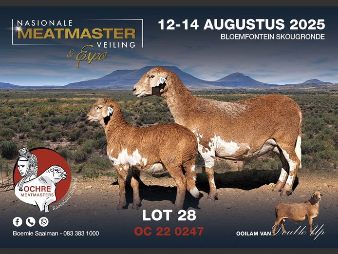 OC 22 0247 | AANGETEKEN | Boemie Saaiman - Ochre Meatmasters