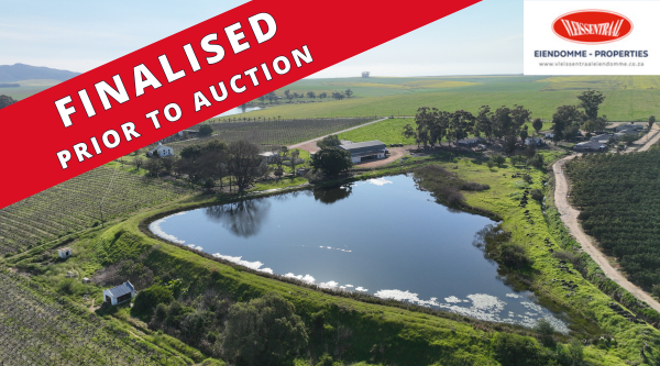 339.2294 ha Wheat / Grapes / Citrus Farm - Porterville