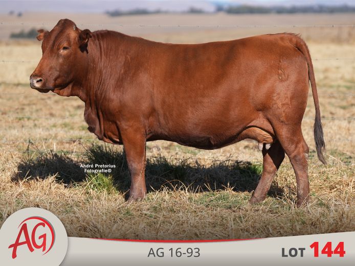 AG160093 | ARTHUR DE VILLIERS & SEUN