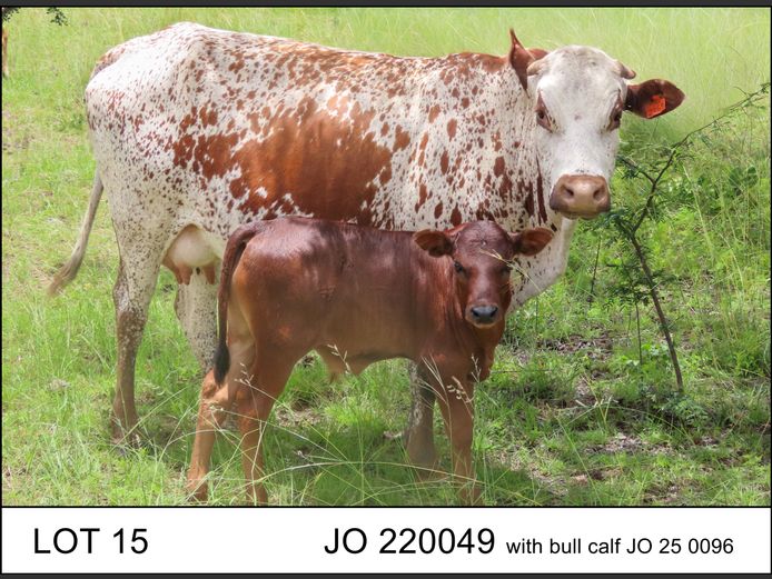 JO 220049 | O.T. JANNASCH