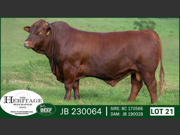 JB230064 | SUPER PRO DAIRY