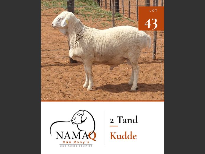 NAMAQ VAN ROOY RAMME