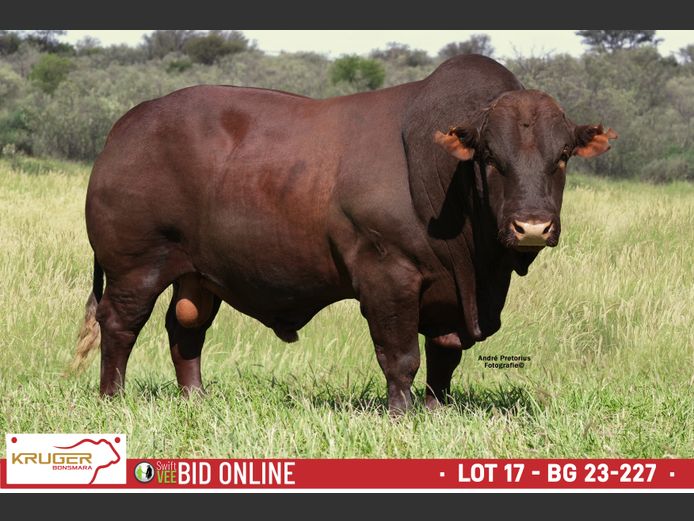 BG 230227 | KRUGER BOERDERY
