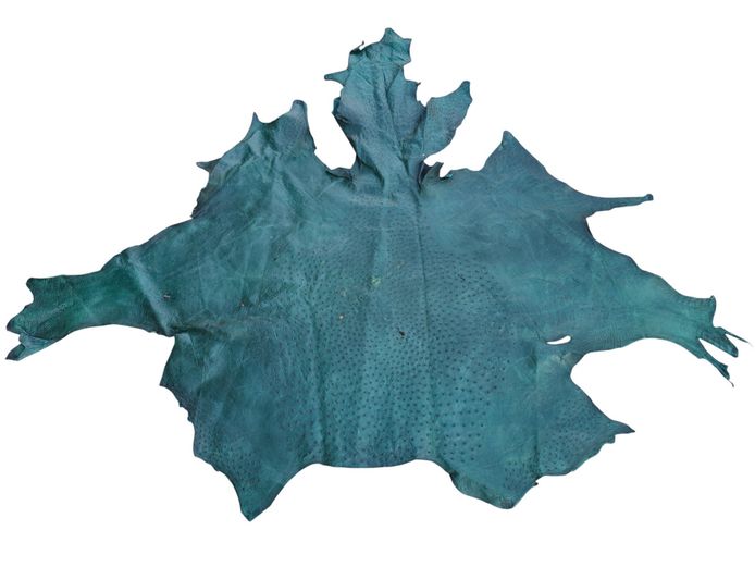 Genuine Green Ostrich Leather Game Hide Skin