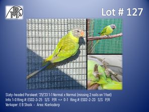 images