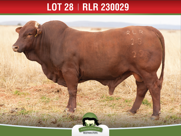 RLR 230029 | J.H. MEYER
