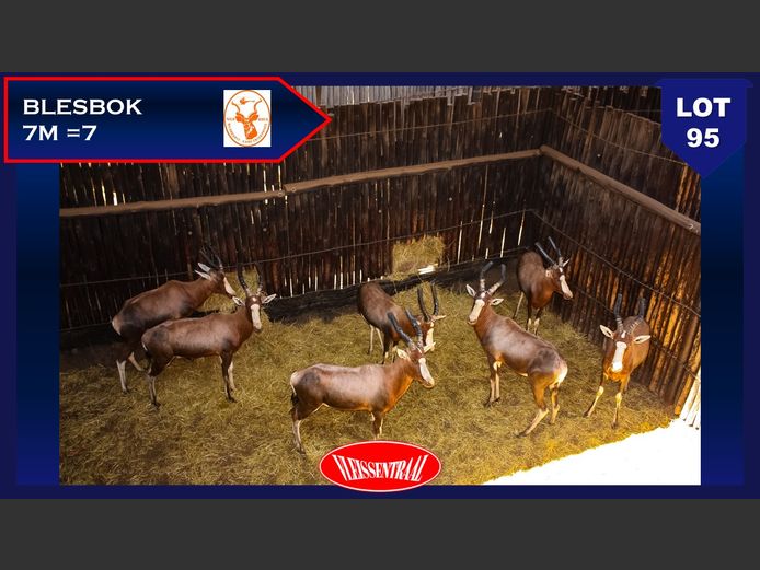 BLESBOK