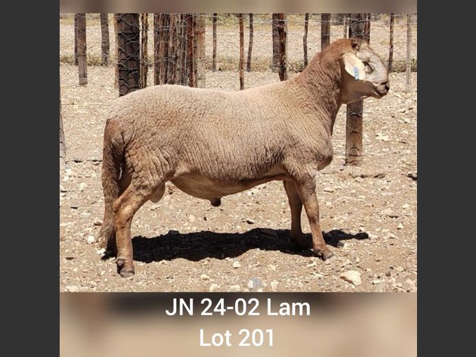 JN 24-02 | DRIEKOP MEATMASTERS