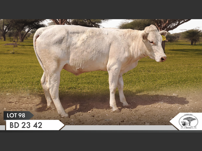 BD 230042 | VAN EYK FAMILIE TRUST
