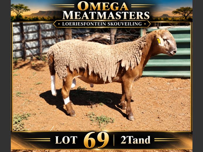 Omega Meatmasters