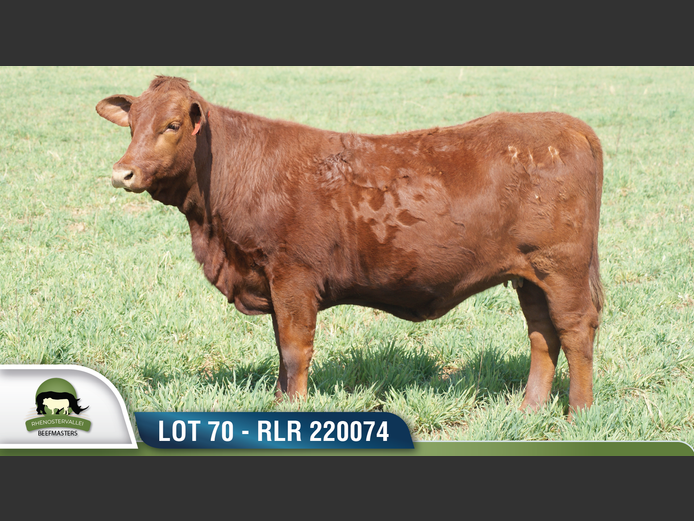 RLR 220074 | RHENOSTERVALLEI