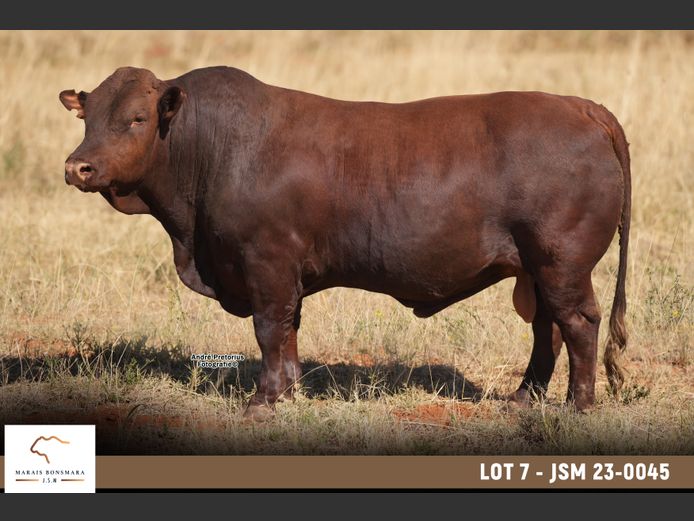 JSM 230045 | MARAIS BONSMARAS