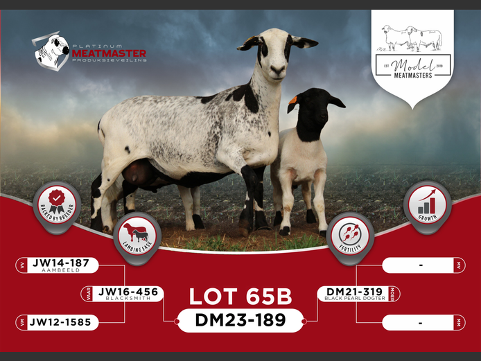 DM 23-0189 | Mario Marais - Model Meatmasters, Britz