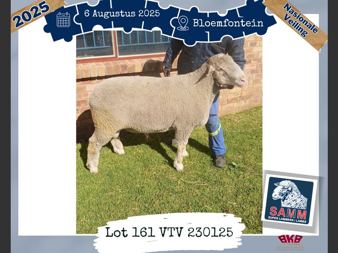 23-0125VTV | VTV BOERDERY