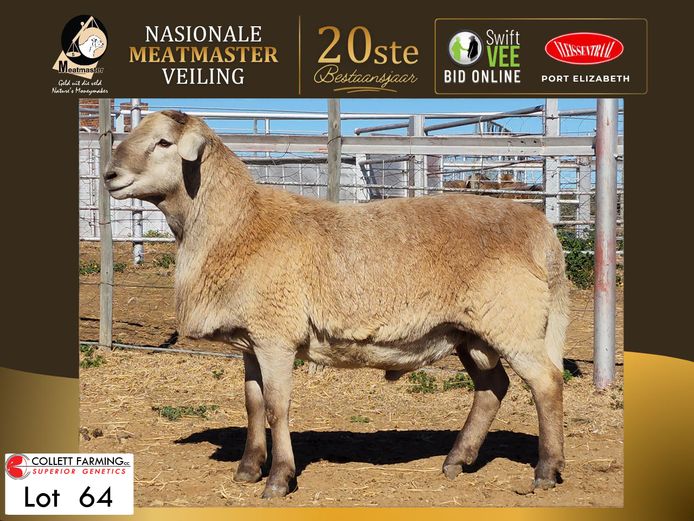 CC 250253 | COLLETT FARMING CC