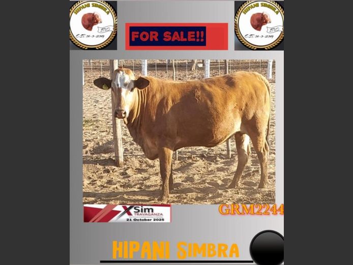 GRM2244AA | HIPANI SIMBRA