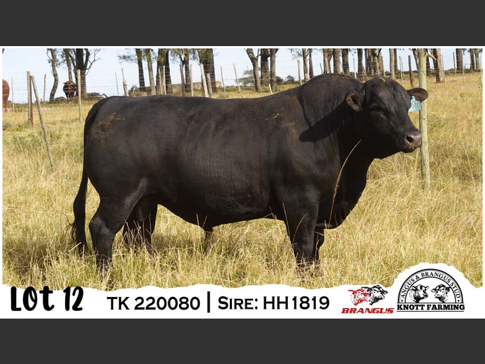 TK 220080