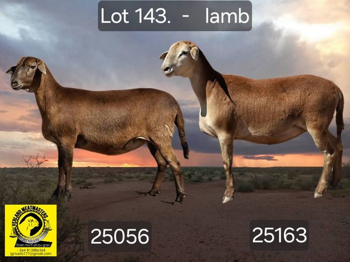 25056 | 25163 | VERLAND MEATMASTERS
