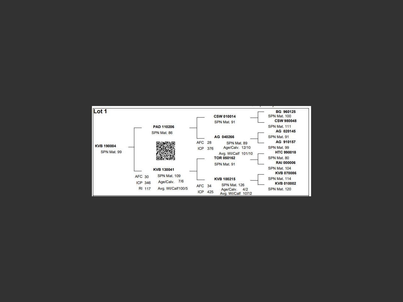 images