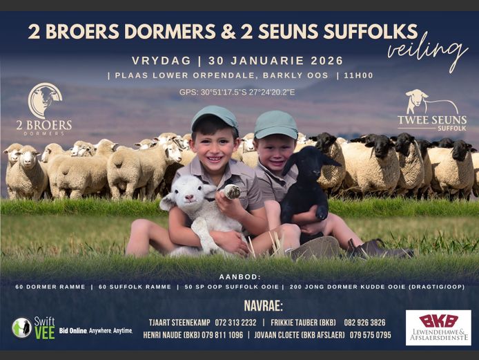 2 BROERS DORMERS & 2 SEUNS SUFFOLKS VEILING
