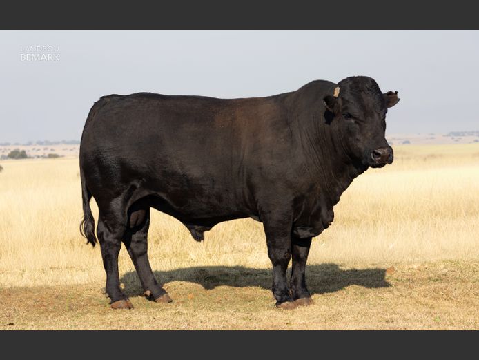 MF  230057 | D.F. DU TOIT